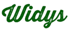 widys logo